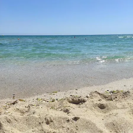 Green Life Panorama